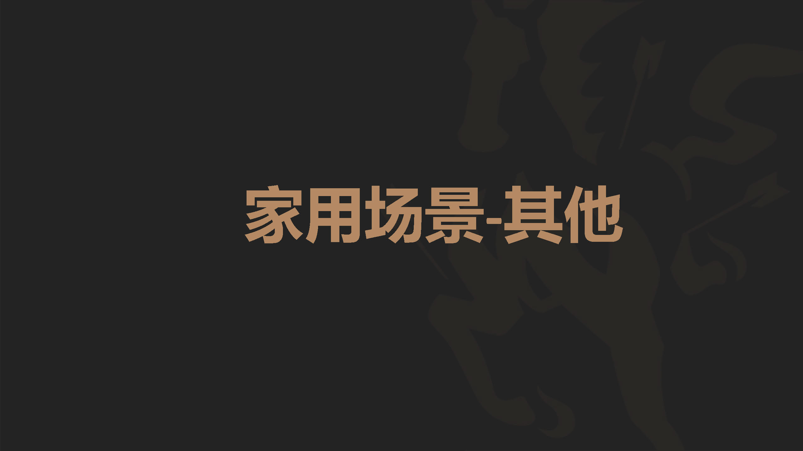 小型/家庭健身房-家用（其他）